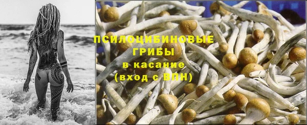 PSILOCYBIN Белоозёрский